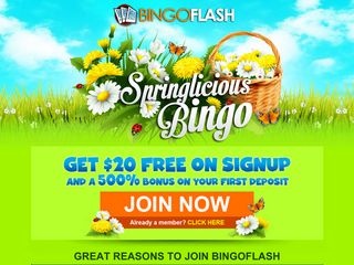 bingoflashcom2