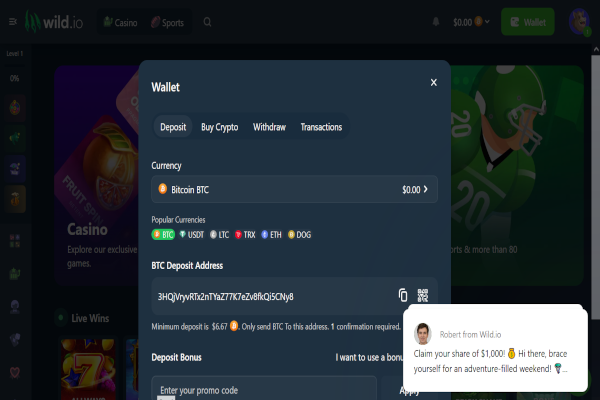 Wild.io Casino screen shot