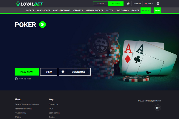 Loyalbet Poker screen shot
